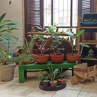  at Oasis Nelva Cafe Creperie in Havana