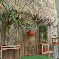  at Oasis Nelva Cafe Creperie in Havana