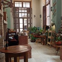  at Oasis Nelva Cafe Creperie in Havana