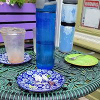 Cleaned our plates at Fancy Plants Cafe in Chicago