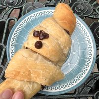 Chocolate croissant   at Fancy Plants Cafe in Chicago