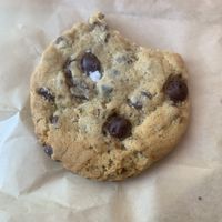 Pistachio chocolate chip cookie  at Fancy Plants Cafe in Chicago