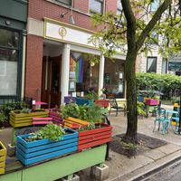 exterior! at Fancy Plants Cafe in Chicago