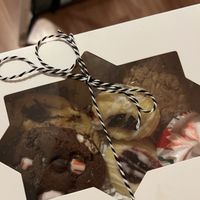 Christmas 2025 cookie box  at Fancy Plants Cafe in Chicago