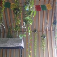 :) at La Raiz de la Tierra in Ixtapa