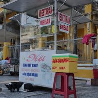 Food stalk with friendly dog at Hoi Banh My Chay - Food Stall in Hoi An