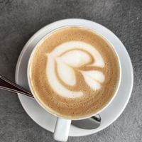   at Alberini Bar in Pesaro