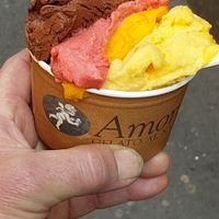 Chocolate, raspberry, mango and lemon flavours at Amorino - L'ile Saint Louis  in Paris