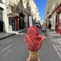 rose shaped strawberry ice cream (macaron not vegan)  at Amorino - L'ile Saint Louis  in Paris