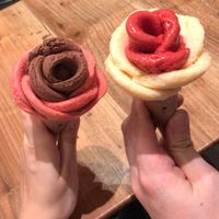 Delicious vegan ice cream  at Amorino -  Abbesses in Paris