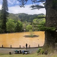 Terra Mostar hot pool  at Terra Nostra Hotel Restaurant in Sao Miguel