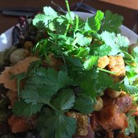 vegan nourish bowl at SLA - Kruisweg in Haarlem