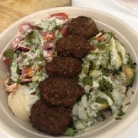Falafel Bowl at ANZO in Boynton Beach