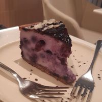 Basque cheesecake at Raw Nest in Krakow