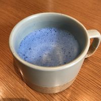   at Raw Nest in Krakow