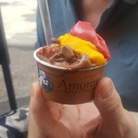 Vegan sorbet selection. Chocolate, mango and raspberry :) at Amorino in Nice
