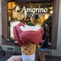ice cream at Amorino in Strasbourg