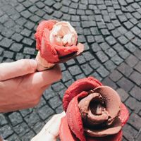 Alles vegane Eissorten. at Amorino in Strasbourg