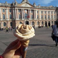 Vegan nuts ice cream at Amorino - Capitole in Toulouse