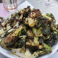 Brussels  at Ladybird in New York City