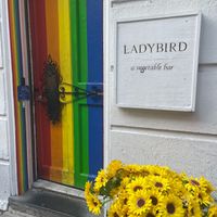  at Ladybird in New York City