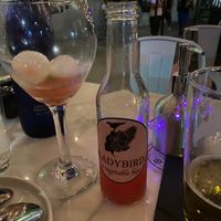 Watermelon alcohol cocktail  at Ladybird in New York City