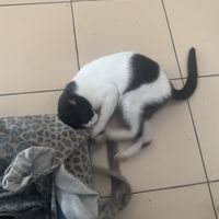   at Waroeng SA in Malang