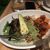 Ancient Grains Bowl  at True Food Kitchen in Palo Alto