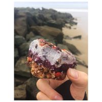 Vegan berry cheesecake. at HAH Lorne Beach in Lorne