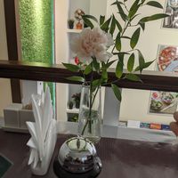  at Veggie House in Astana