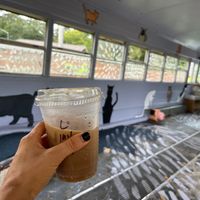 Lavender Soy Milk latte inside cat bus at Curia on the Drag Food Truck in Gainesville