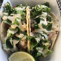 Street tacos at Curia on the Drag Food Truck in Gainesville