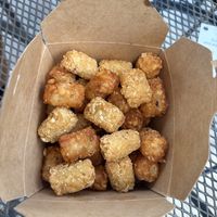 tater tots  at Curia on the Drag Food Truck in Gainesville