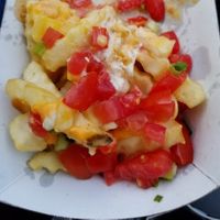 Loaded cheese fries at Curia on the Drag Food Truck in Gainesville