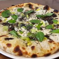  at PLANTA - Yorkville in Toronto