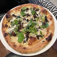   at PLANTA - Yorkville in Toronto