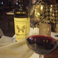 Red wine from Spain, organic and vegan at PLANTA - Yorkville in Toronto