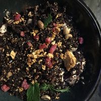 The chocolate terrine: to die for. at PLANTA - Yorkville in Toronto