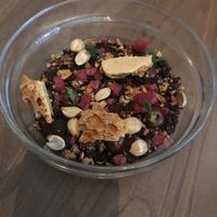 Chocolate terrarium at PLANTA - Yorkville in Toronto