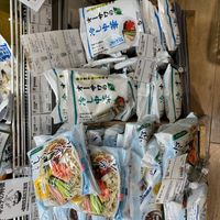 Vegan ramen  at Musubi Garden in Osaka