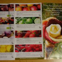 Vegan ice-cream at Amorino - Augusta in Lisbon