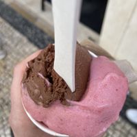 Vegan chocolate plus strawberry / lichi / rose!   at Amorino - Augusta in Lisbon