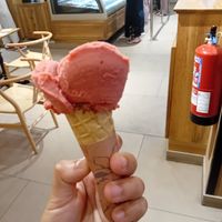 Vegan gelato at Amorino - Augusta in Lisbon