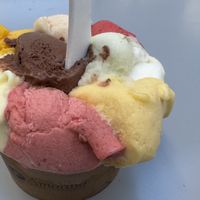 All vegan tastes in one big cupp  at Amorino - Augusta in Lisbon