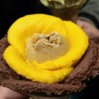 Eisblume mit veganer schokolade at Amorino - Garrett in Lisbon