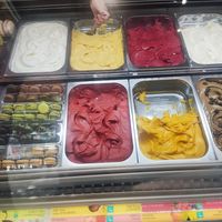 Vegan sorbets at Amorino in Alicante