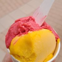  at Amorino - Festival Park in Marrachi