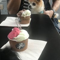 Raspberry + lime-basil at Amorino - Guggenheim in Bilbao