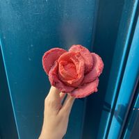 inside: jasmine/ outside: cassis   at Amorino - Guisarde in Paris