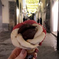 Chocolate, hazelnut and raspberry sorbets at Amorino - Via del Corso in Florence